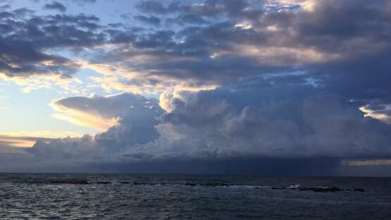 Images from Bari/Beelden uit Bari