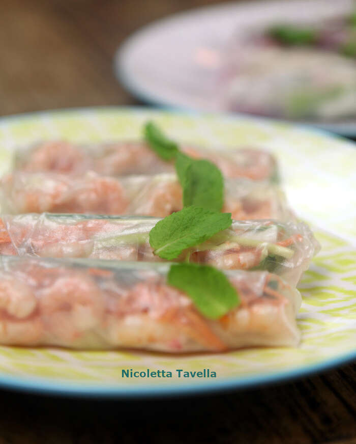 Mediterranean spring rolls